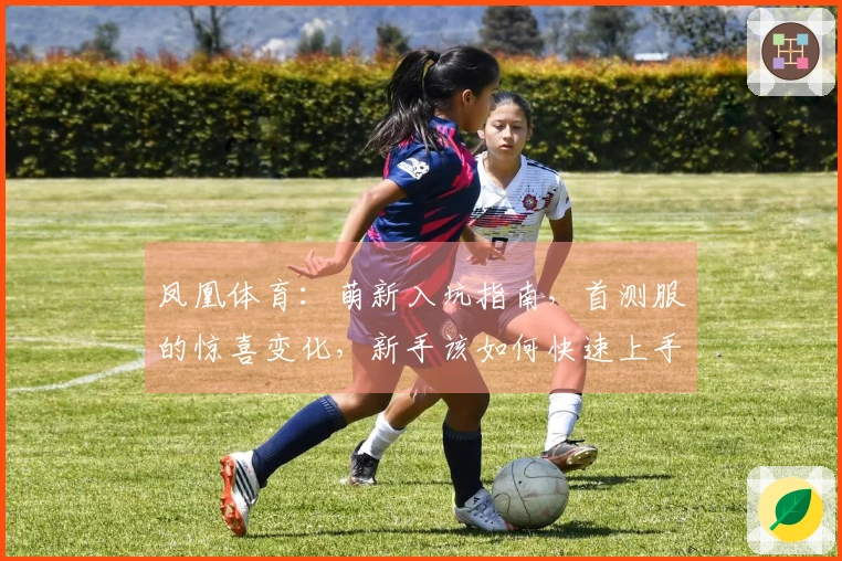 凤凰体育：萌新入坑指南，首测服的惊喜变化，新手该如何快速上手？