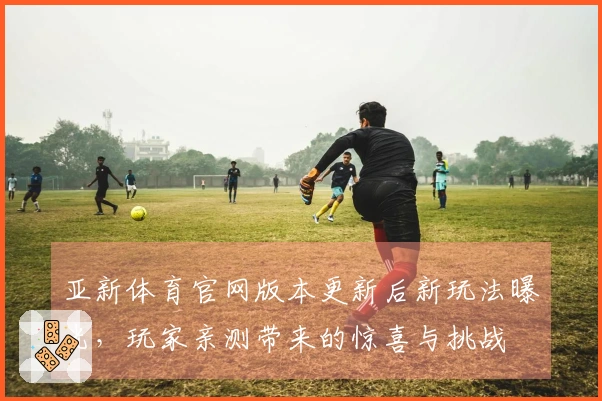 亚新体育官网版本更新后新玩法曝光，玩家亲测带来的惊喜与挑战