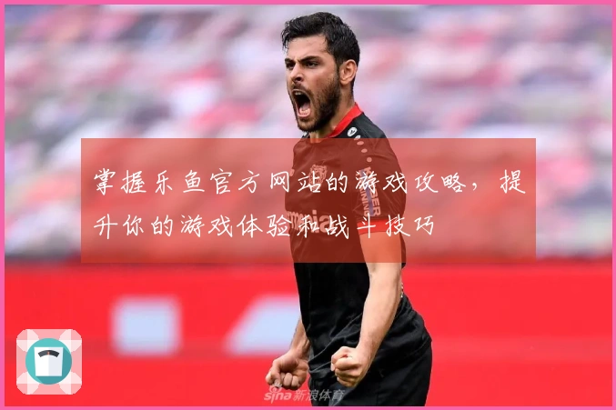 掌握乐鱼官方网站的游戏攻略，提升你的游戏体验和战斗技巧
