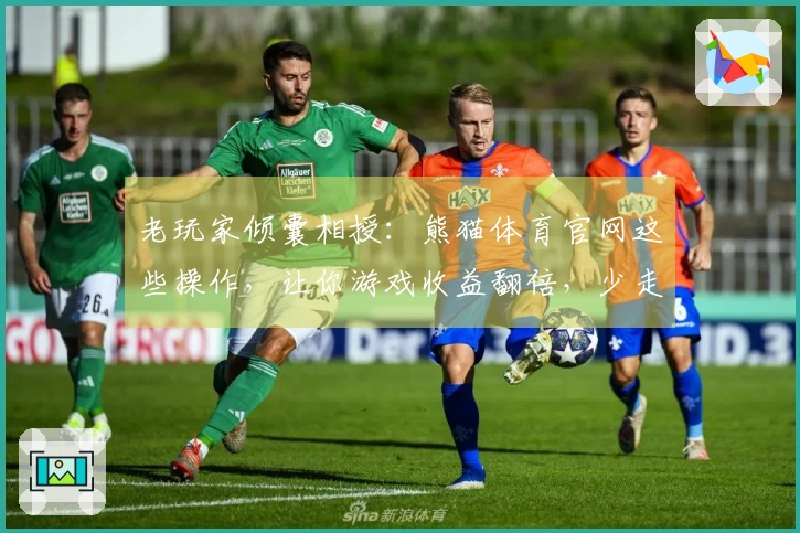 老玩家倾囊相授：熊猫体育官网这些操作，让你游戏收益翻倍，少走弯路