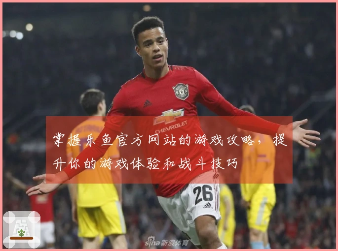掌握乐鱼官方网站的游戏攻略，提升你的游戏体验和战斗技巧